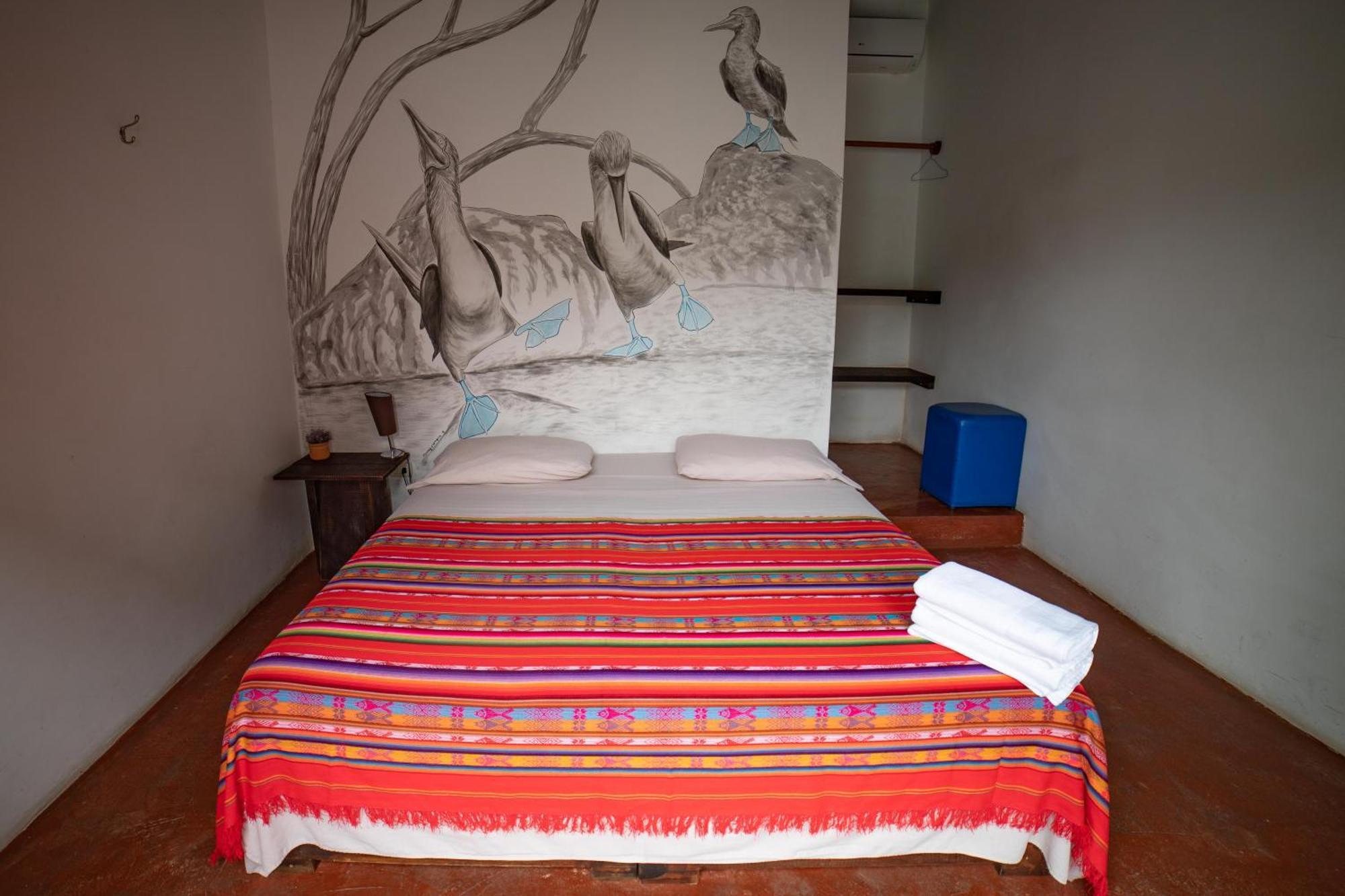 Galapagos Morning Glory Albergue
