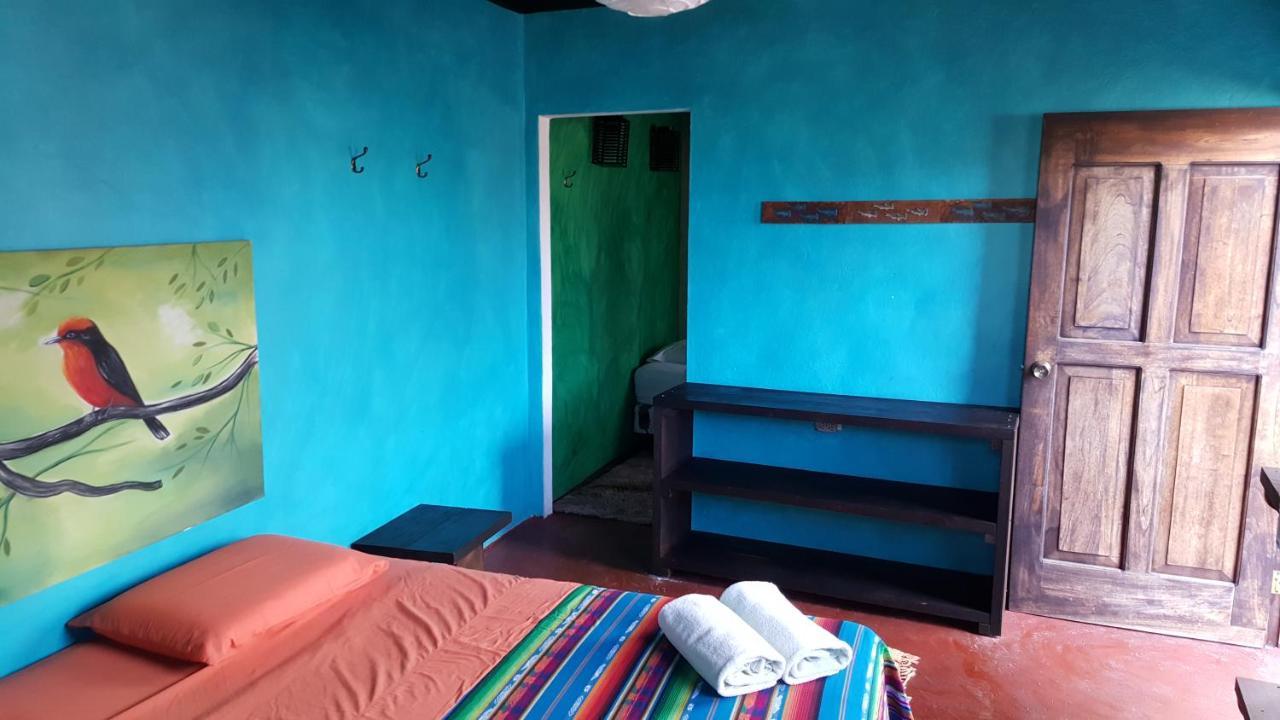 Albergue Galapagos Morning Glory *