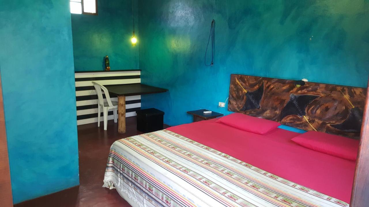Galapagos Morning Glory Albergue