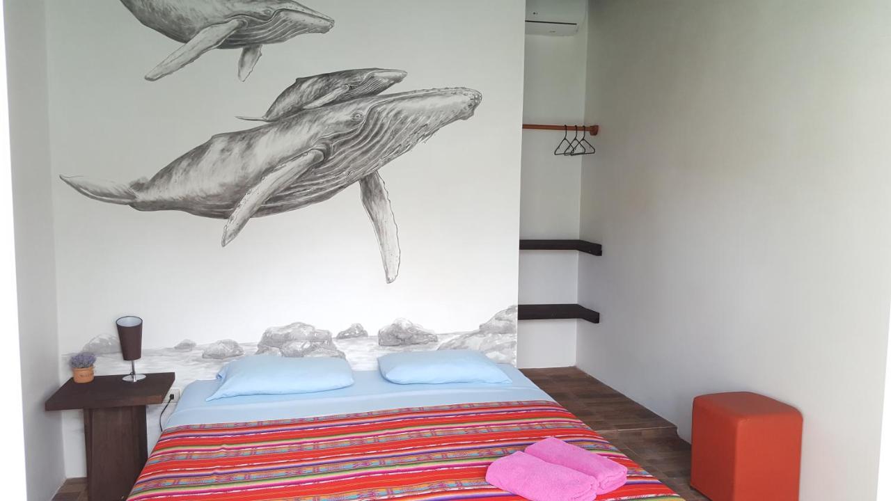 Galapagos Morning Glory Albergue